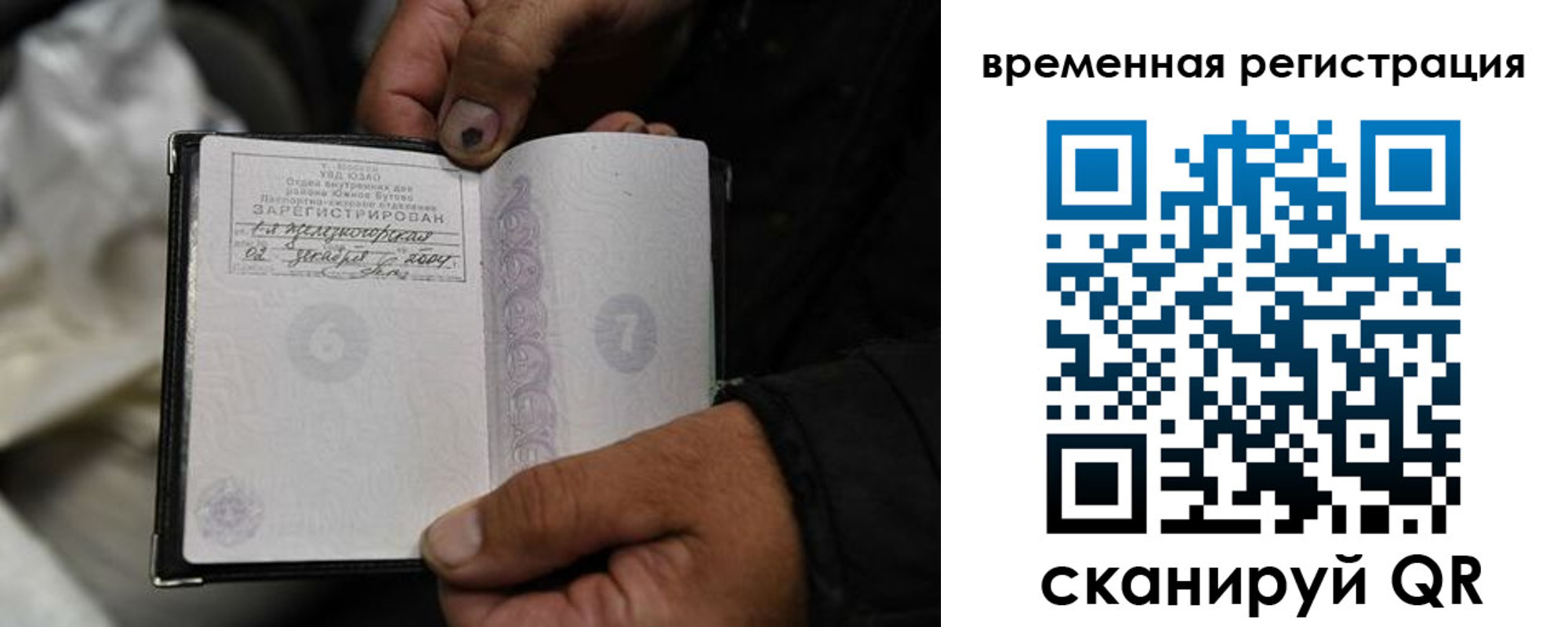 прописка поиск в Порхове